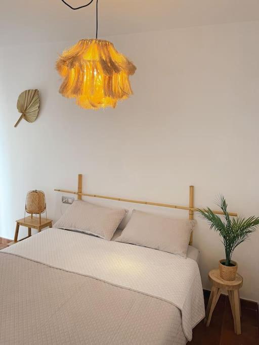 Apartamento Casa Bamboo Corralejo, Espacioso, Piscina Y Parking Exterior photo