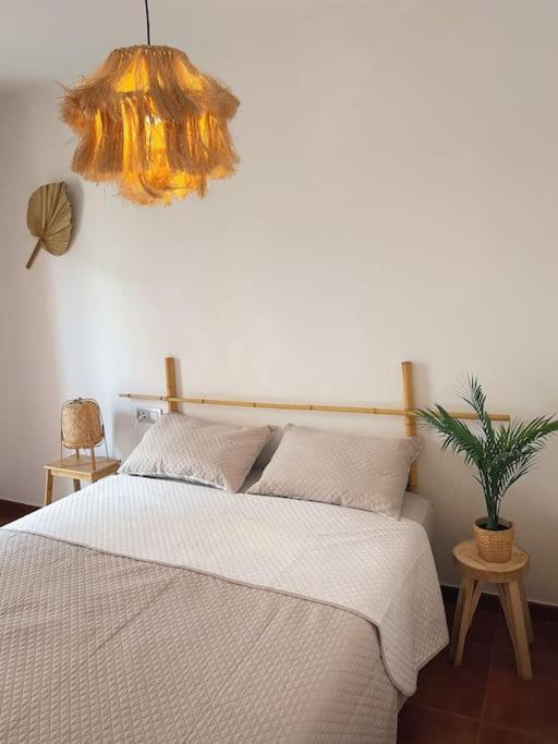 Apartamento Casa Bamboo Corralejo, Espacioso, Piscina Y Parking Exterior photo