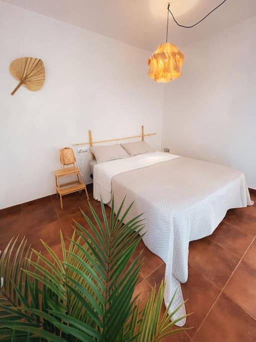 Apartamento Casa Bamboo Corralejo, Espacioso, Piscina Y Parking Exterior photo