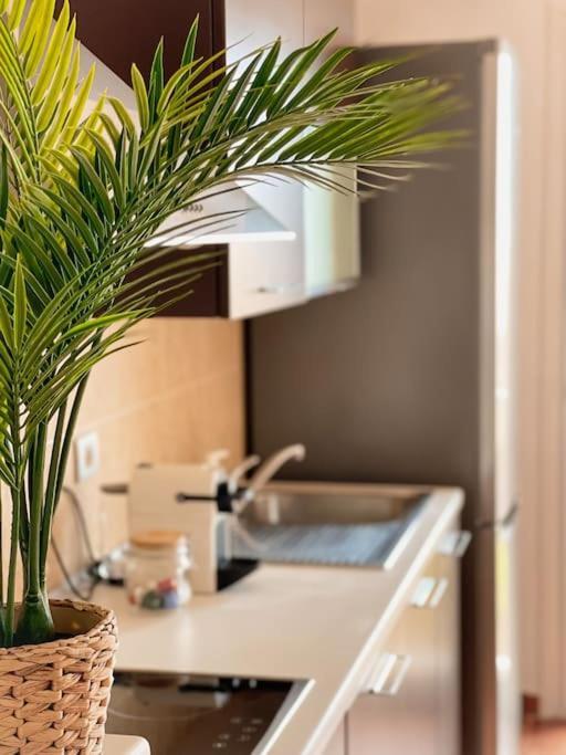 Apartamento Casa Bamboo Corralejo, Espacioso, Piscina Y Parking Exterior photo